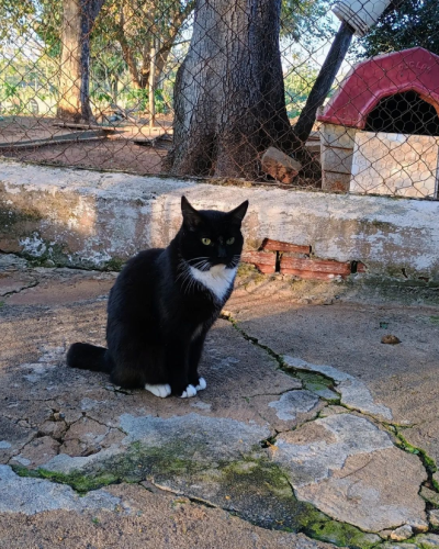 Captura de tela 2024-09-23 195332